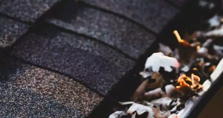 5 Essential Summer Tips for Gutter Maintenance and Longevity.